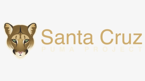 Santa Cruz Puma Project - Aci Santa Cruz Do Sul, HD Png Download, Transparent PNG