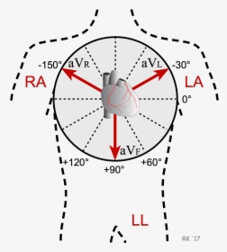 Ecg Augmented Lead Axis - Ecg Leads, HD Png Download, Transparent PNG