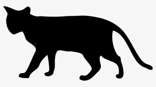 Transparent White Cat Png - Cat Png Black And White, Png Download, Transparent PNG