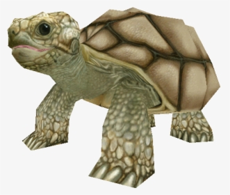 Download Zip Archive - Zoo Tycoon 2 Tortoise, HD Png Download, Transparent PNG