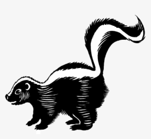 Skunk Png Background - Skunk Black And White, Transparent Png, Transparent PNG