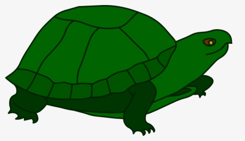 Transparent Turtle Clip Art - Tortoise, HD Png Download, Transparent PNG