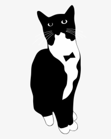 Easy Tuxedo Cat Drawing, HD Png Download, Transparent PNG