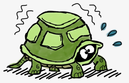 Turtle Coming Out Of Shell Cartoon, HD Png Download, Transparent PNG