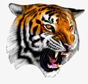 Cadworxlive Gives You Access To 30,000 Quality Peices - Confederate Flag With Tiger, HD Png Download, Transparent PNG