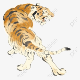 Transparent Tiger Clipart - Clip Art, HD Png Download, Transparent PNG