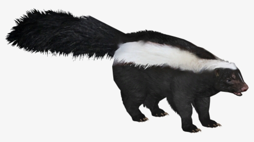 Zt2 Download Library Badger, HD Png Download, Transparent PNG