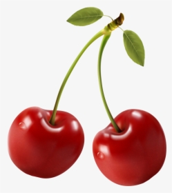 Cherries Food Clipart, Perfect Food, Printing Labels, - Red Cherry Clipart, HD Png Download, Transparent PNG