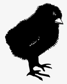 Black, Chicks, Bird, Baby, Dark, Little, Small, Chicken - Baby Chick Silhouette Png, Transparent Png, Transparent PNG