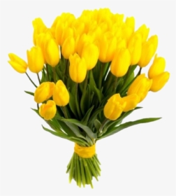 Yellow Tulips Png Free Background - Bouquet Tulipani Gialli E Mimosa, Transparent Png, Transparent PNG