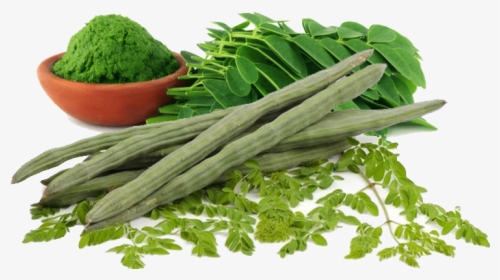Drumstick Vegetable Png - Moringa Oleifera, Transparent Png, Transparent PNG