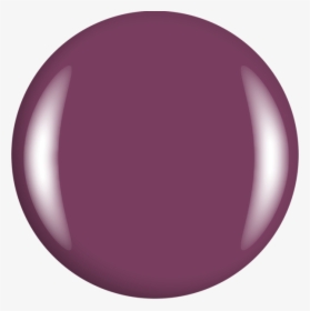Circle, HD Png Download, Transparent PNG