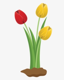 Tulips - Tulip Flower Clipart, HD Png Download, Transparent PNG