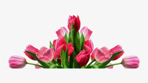 Get Well Tulips - Flores Para Fundo Png, Transparent Png, Transparent PNG