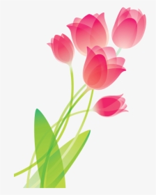 Drawing Coffee Tulip - Drawing Of Flowers Tulip, HD Png Download, Transparent PNG