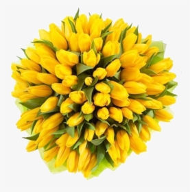 Yellow Tulips Png Image File - Yellow Tulips, Transparent Png, Transparent PNG