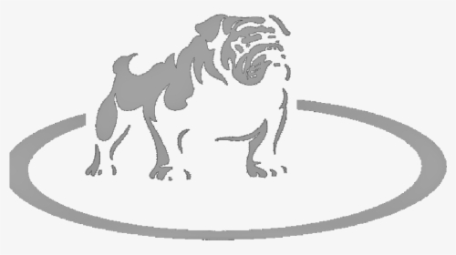Olde English Bulldogge, HD Png Download, Transparent PNG