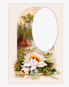 Vintage Postcards Flowers Free Picture, HD Png Download, Transparent PNG