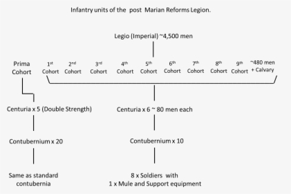 Legion Task Org, HD Png Download, Transparent PNG