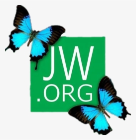 Org #jwlife #jehovahswitnesses #bestlifeever - Fondos De Pantalla Jw Org, HD Png Download, Transparent PNG