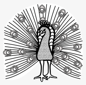 Clipart - Black And White Clipart Image Of Peacock, HD Png Download, Transparent PNG