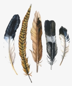Feather Drawing Png - Pheasant Feather Clip Art, Transparent Png, Transparent PNG
