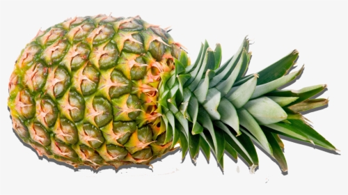 Fruit Images Pineapple Png, Transparent Png, Transparent PNG