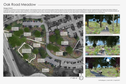 A Student’s Illustration Of The Oak Road Meadow Project - Landscape Architecture Project Show, HD Png Download, Transparent PNG