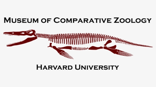 Museum Of Comparative Zoology Logo, HD Png Download, Transparent PNG