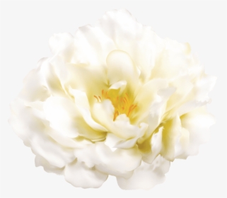 Free Png Download White Flower Transparent Png Images - White Flower Free Png, Png Download, Transparent PNG