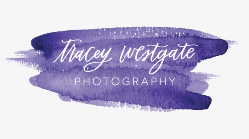 Static1 - Squarespace - Label, HD Png Download, Transparent PNG