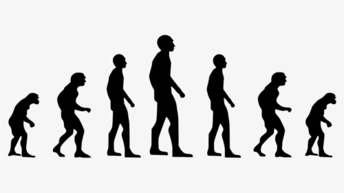 Transparent Business People Silhouette Png - Evolution Zombie, Png Download, Transparent PNG