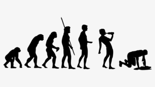 Evolution Drinking - Drinking Beer Silhouette Png, Transparent Png, Transparent PNG