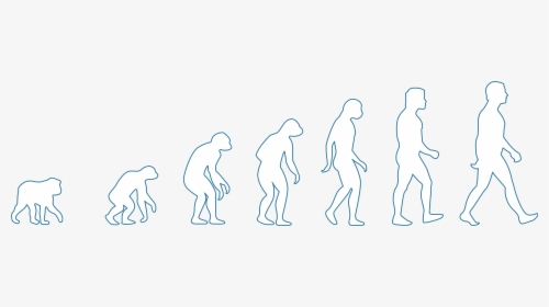 Evolution Of Man Cycling, HD Png Download, Transparent PNG