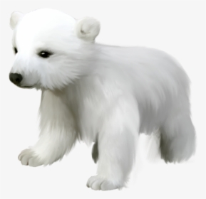 Polar Bear Png - Cute Polar Bear Clipart, Transparent Png, Transparent PNG