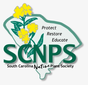 The South Carolina Native Plant Society - South Carolina Native Plant Society, HD Png Download, Transparent PNG