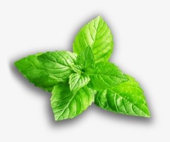 Mint Flavour Leaf, HD Png Download, Transparent PNG