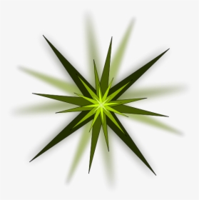 Algae - Green Star Designs, HD Png Download, Transparent PNG
