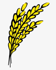 Vector Illustration Of Wheat Grain Of Cereal Grass - Oats Clipart, HD Png Download, Transparent PNG