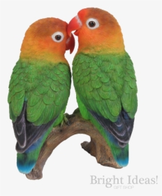 Love Birds Exotic True Life Vivid Arts Lovebirds - Lovebirds In Transparent Background, HD Png Download, Transparent PNG