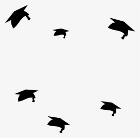 Crow Like Bird - Flying Graduation Hat Png, Transparent Png, Transparent PNG