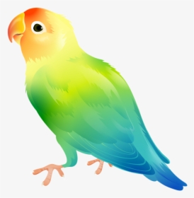 Parrot Bird Png Clip Art Imageu200b Gallery Yopriceville - Bird Clipart Transparent Background, Png Download, Transparent PNG