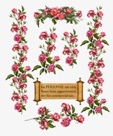 Rose Bush Clipart Rose Vines - Blossom Vines Clip Art, HD Png Download, Transparent PNG