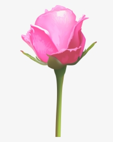 Transparent Rose Stem Png - Single Pink Rose Flowers, Png Download, Transparent PNG