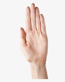 Hand Showing Five Fingers Png Clipart Picture - Hand Palm Png, Transparent Png, Transparent PNG