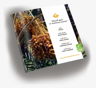 Brochure Mockup - Flyer, HD Png Download, Transparent PNG