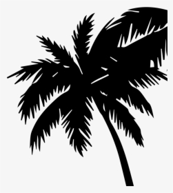 Free Palm Tree Silhouette Png, Transparent Png, Transparent PNG