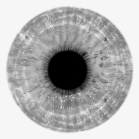 Transparent Gray Fullbuster Png - White Eye Lens Png, Png Download, Transparent PNG