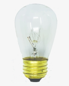 Incandescent Light Bulb, HD Png Download, Transparent PNG