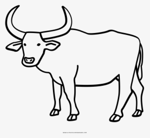 Carabao Clipart Black And White, HD Png Download, Transparent PNG